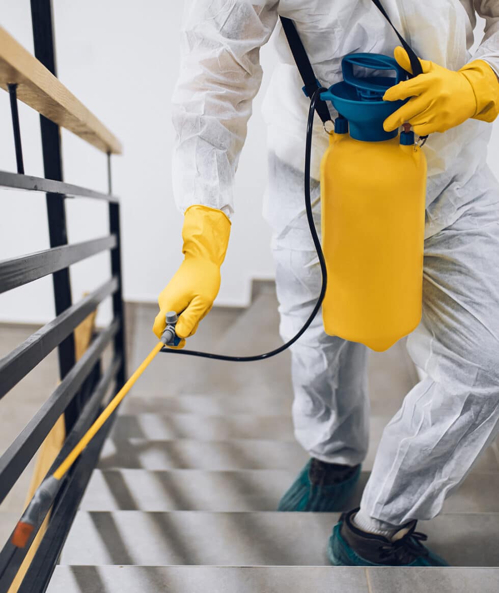 Bang Extermination photo 3