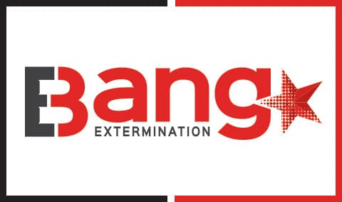 Bang Extermination